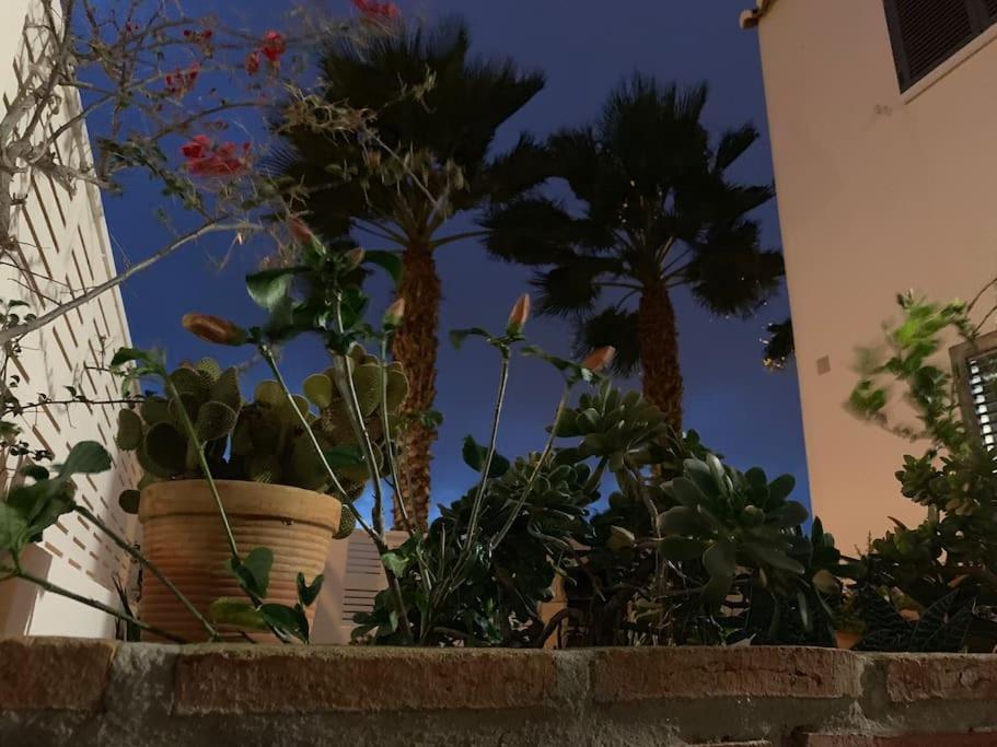 אלמרימר Villa Cinco Palmas מראה חיצוני תמונה